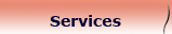 Salon Perfection, Services
